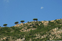 Riviera - Alassio.