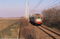 ORIZZONTE DI PIANURA - Pozzolo F.