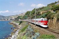 Classic - Aregai di Cipressa.