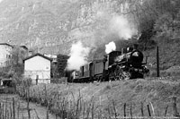 Vapore tra storia e paesaggio - Carpan-Valstagna