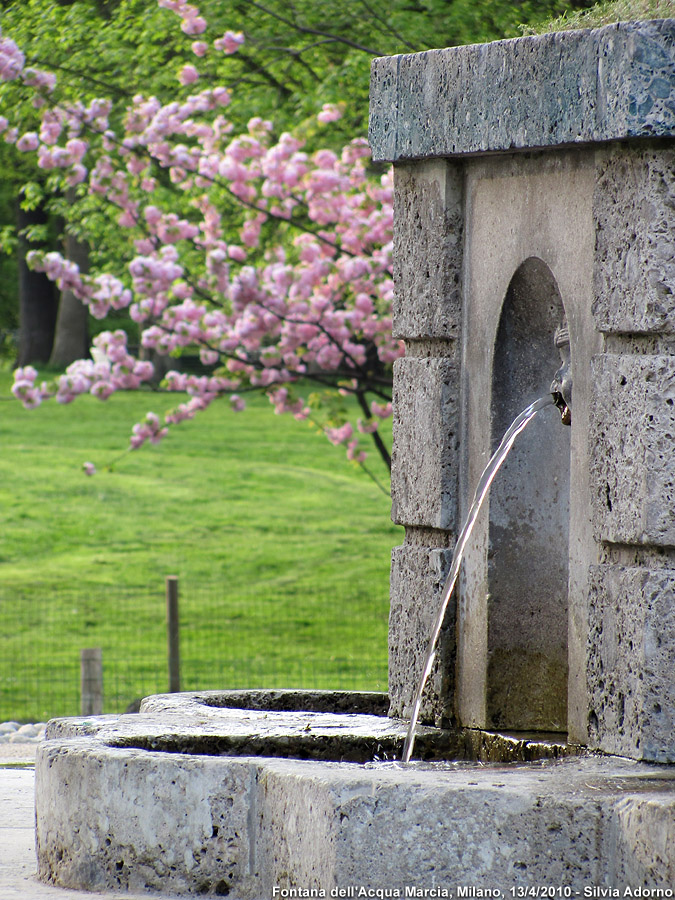 Citt d'acqua - Fontana dell'Acqua Marcia.