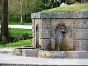 Citt d'acqua - Fontana dell'Acqua Marcia.