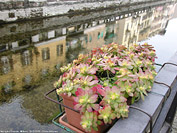 Citt d'acqua - Naviglio Grande.