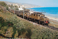 Vintage - Arma di Taggia.