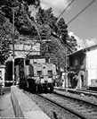 La storia precedente - Genova Vesima.