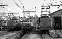 Fotografie di Franco Dell'Amico - Dep. Savona.