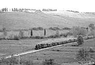 Un vapore antico - Fauglia.