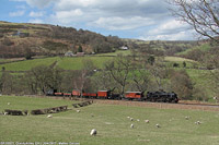 Llangollen Railway - BR 80072, Glyndyfrdwy.