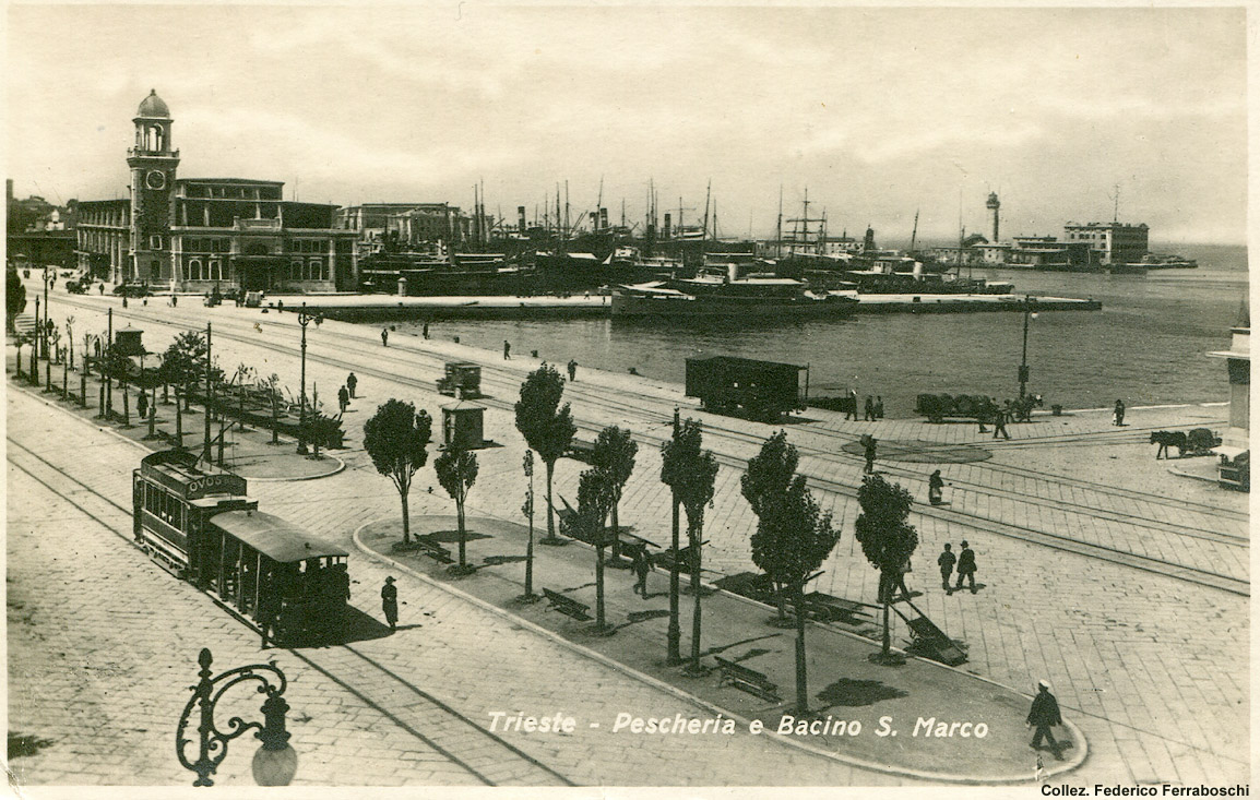 Tram giardiniera - Trieste.