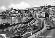 Filobus 668 - Ancona.