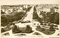 Tram giardiniera - Livorno.