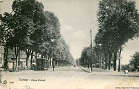 Tram giardiniera - Torino.