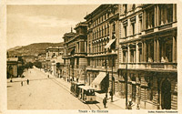 Tram giardiniera - Trieste.