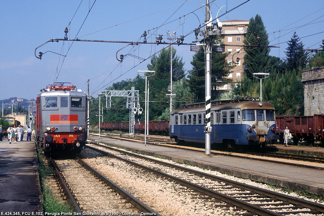 Biodiversit di Concesse anni '90 - FCU