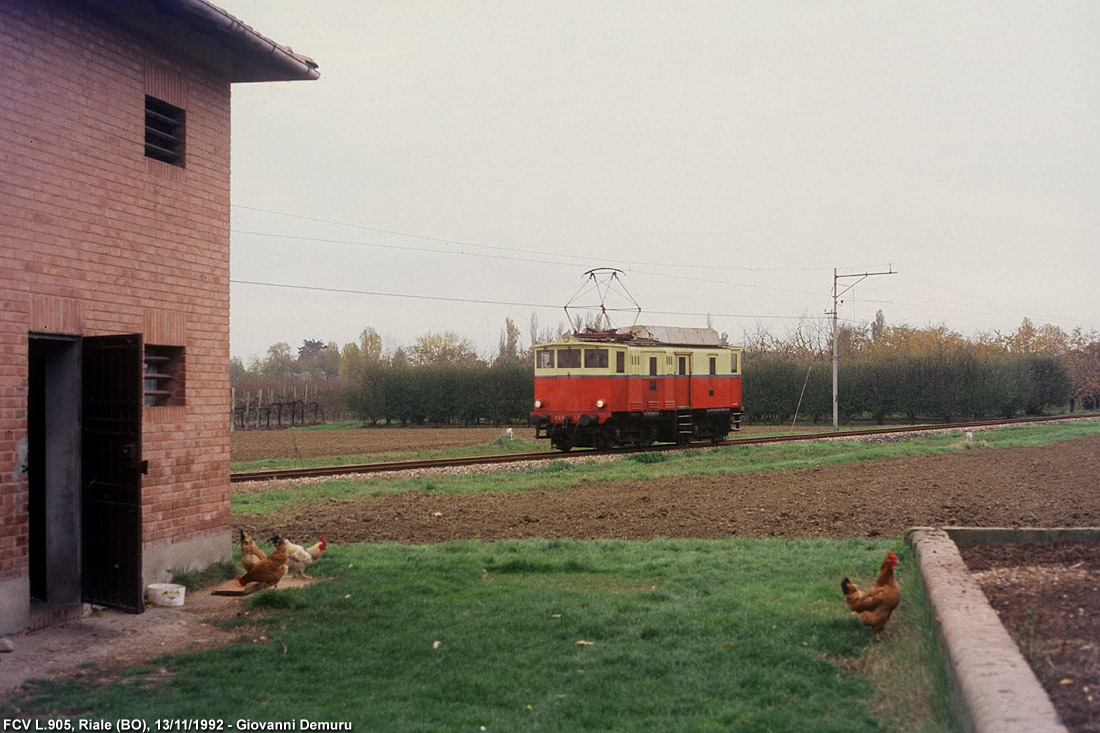 Biodiversit di Concesse anni '90 - FCV