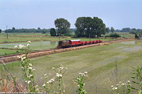Le due locomotive - Galliate.