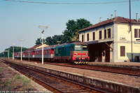 Classic Lomellina - Cava Carbonara.
