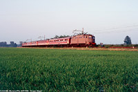 Classic Lomellina - Mortara.