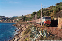 Inverno a ponente - Aregai di Cipressa.