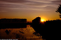 Classic Lomellina - Mortara.