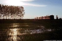 Classic Lomellina - Mortara.