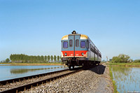 Classic Lomellina - Nicorvo.