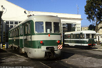 Biodiversit di Concesse anni '90 - FCL