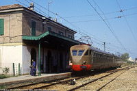 Biodiversit di Concesse anni '90 - ATCM