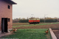 Biodiversit di Concesse anni '90 - FCV