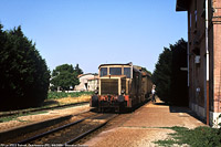 Biodiversit di Concesse anni '90 - FP