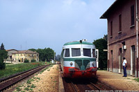 Biodiversit di Concesse anni '90 - FP