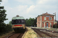 Biodiversit di Concesse anni '90 - FSF