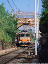 Il diesel al mare - S.Stefano-Riva Ligure.