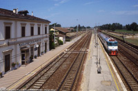 E.424 - Magliano.