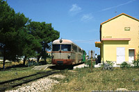 Biodiversit di Concesse anni '90 - FdS