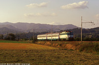 E.424 - Merana.