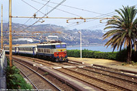 San Remo 2001, l'ultima estate - S.Lorenzo.