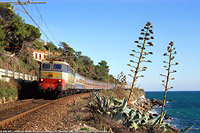 Classic Riviera: gli anni '90, l'ultima stagione dei treni internazionali - Aregai di Cipressa.
