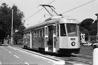 Bianco e nero 1998 - V.le Belle Arti.