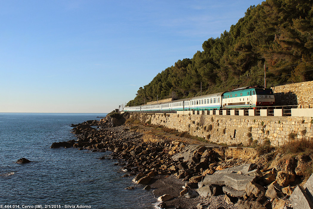 Cervo.