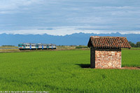 Novara-Varallo - S.Bernardino.