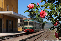 Intorno al vulcano - Moio.