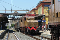 Trifase Acqui Terme 2026 - Acqui Terme.