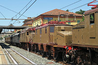 Trifase Acqui Terme 2026 - Acqui Terme.