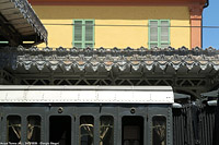 Trifase Acqui Terme 2026 - Acqui Terme.