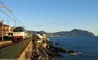 Inverno - Nervi.