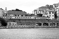 Cervo.
