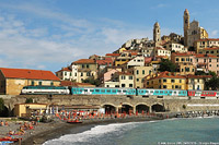 Cervo.