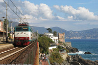 Nervi.