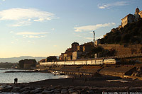 Cervo.